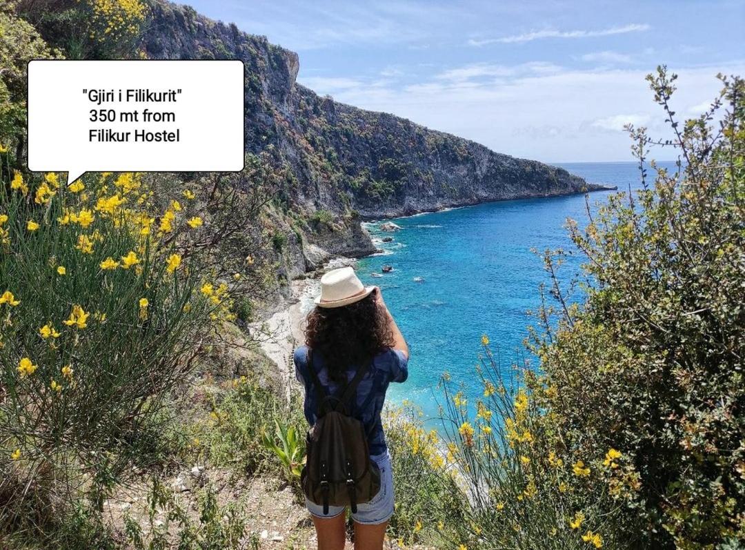 Filikur Hostel هيماري المظهر الخارجي الصورة